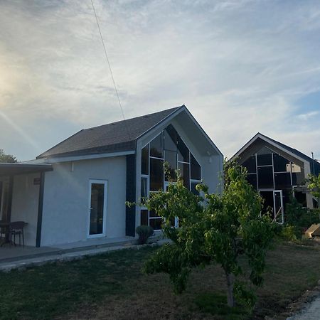 Улица Лазурна Hotel Tyulenovo Szoba fotó